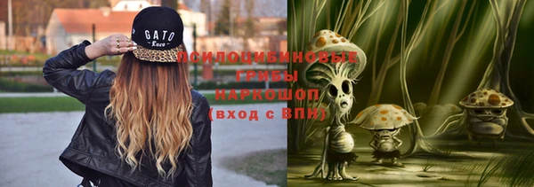 индика Алексин
