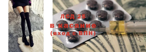 индика Алексин