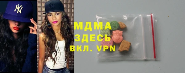 индика Алексин