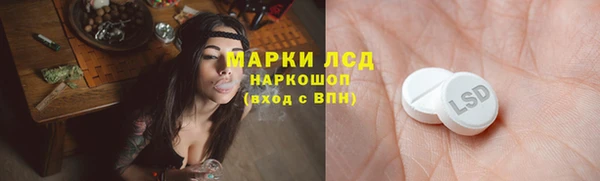 индика Алексин