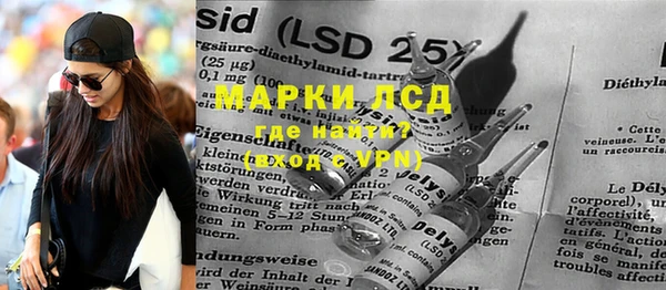 индика Алексин