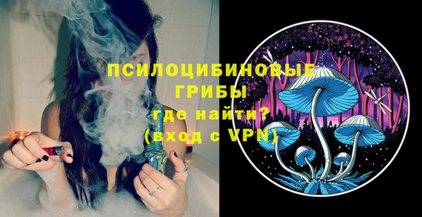 индика Алексин