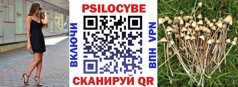 Псилоцибиновые грибы Cubensis Карасук