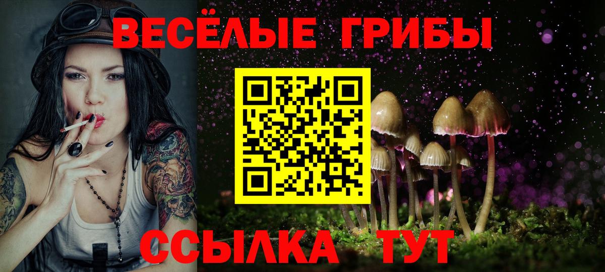 Псилоцибиновые грибы прущие грибы  Вход с VPN  Карасук 